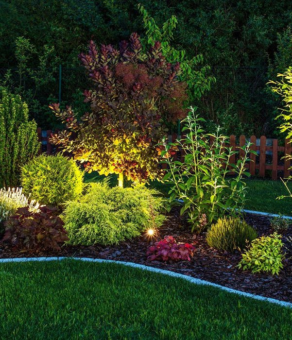 Softly illuminated garden with decorative landscaping lights creating a serene atmosphere at night.