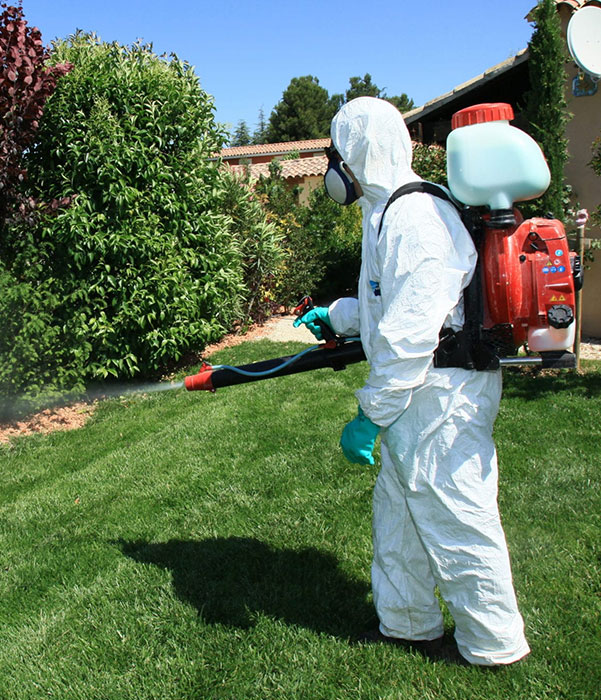 A man in a white protective suit uses a sprayer on a lawn, actively treating the grass for pests or diseases.