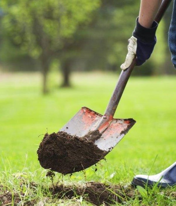 A person shoveling dirt, concentrating on their task, with soil being moved aside in a garden or outdoor setting.
