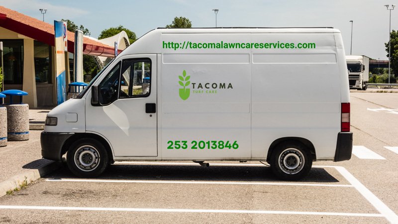 A white van adorned with green leaves, showcasing a blend of nature and transportation.