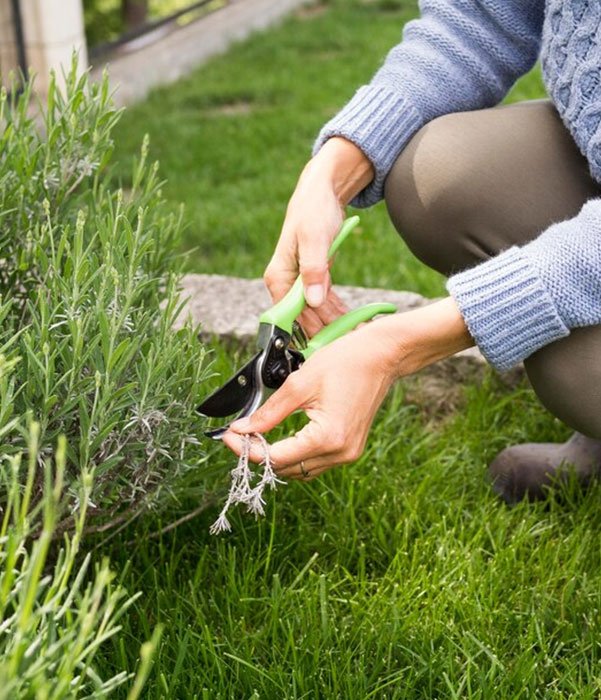 A woman uses scissors to trim a potted plant, ensuring its leaves are neat and well-maintained.