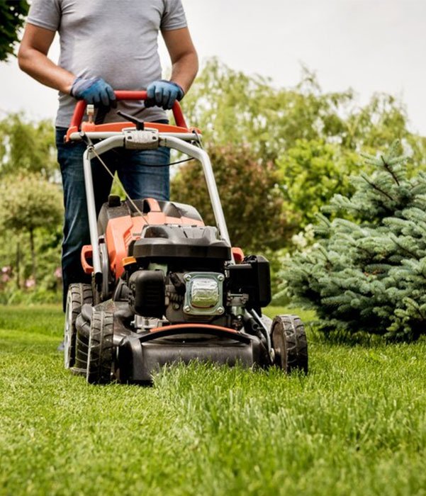 A man is cutting grass with a lawn mower in a vibrant yard, surrounded by greenery and bright sunlight.
