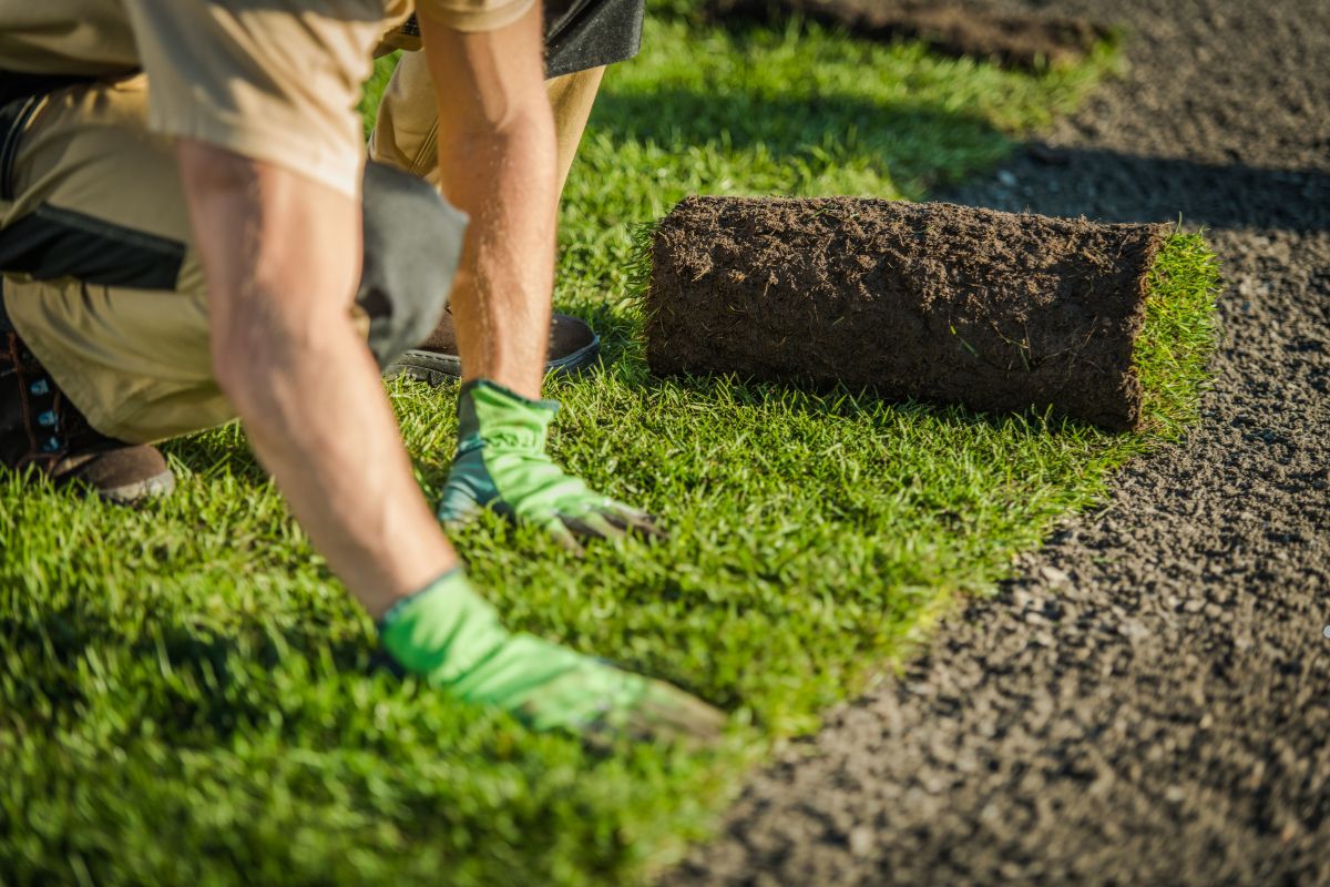 A man laying sod on the ground as part of a professional lawn care service.